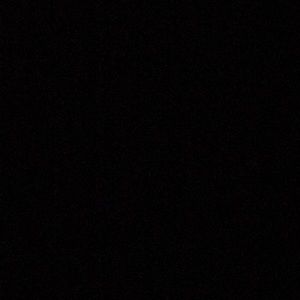 Meet your Posher, Griselda